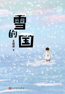 王璐琪少年小说系列：雪的国