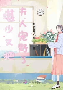 湛少又把夫人寵野了