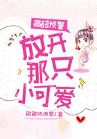 高甜預警：放開那只小可愛在線閱讀