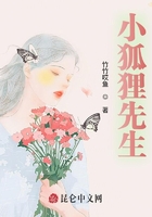 小狐貍先生在線閱讀
