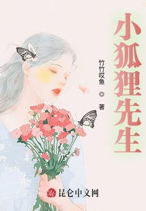 小狐貍先生