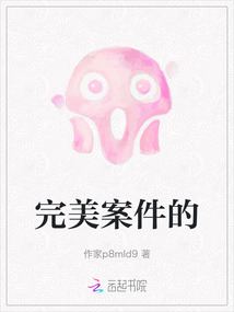 完美案件的