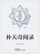 补天奇闻录在线阅读