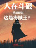 人在斗破,系统却说这是海贼王?在线阅读