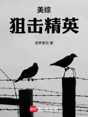 美综:狙击精英在线阅读