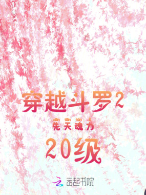 穿越斗罗2先天魂力20级在线阅读