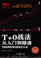 T+0战法从入门到精通（擒住大牛）