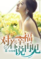 對著幸福說再見在線閱讀