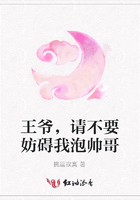王爺，請不要妨礙我泡帥哥在線閱讀