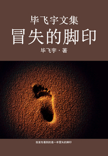 畢飛宇文集：冒失的腳印