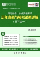 湖南省会计从业资格考试历年真题与模拟试题详解（三科合一）在线阅读