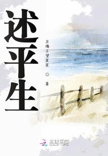 述平生