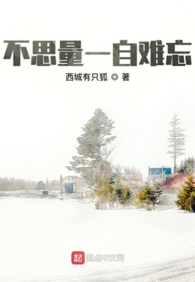 不思量一自难忘在线阅读