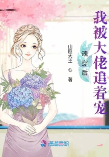 魂穿后我被大佬追著寵