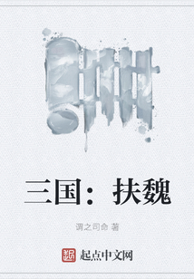 三国：扶魏