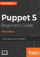 Puppet 5 Beginner's Guide（Third Edition）在線閱讀