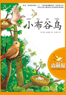 小布谷鳥