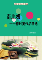 南北极：穆时英作品精选（感悟文学大师经典）