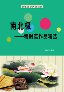 南北极:穆时英作品精选(感悟文学大师经典)