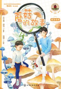蘑菇的故事