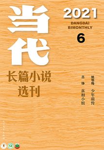 當(dāng)代長篇小說選刊(2021年6期)