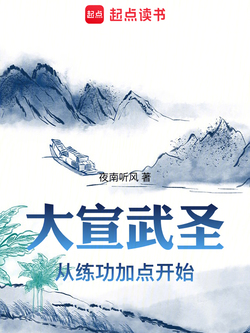 大宣武圣 封面