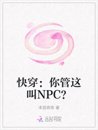 快穿：你管这叫NPC？