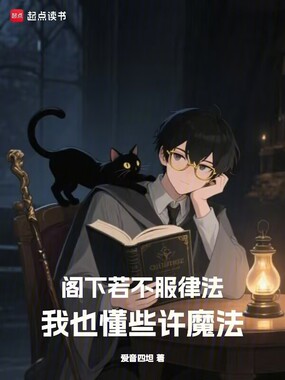 阁下若不服律法，我也懂些许魔法在线阅读