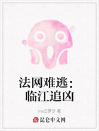 法网难逃:临江追凶在线阅读