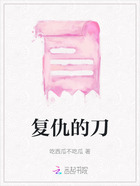 复仇的刀在线阅读