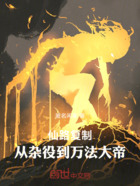 仙路复制，从杂役到万法大帝在线阅读