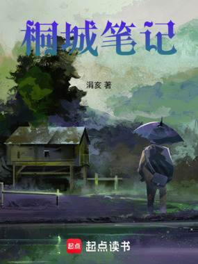 桐城笔记在线阅读