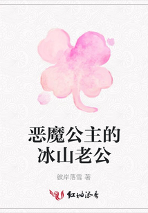 惡魔公主的冰山老公