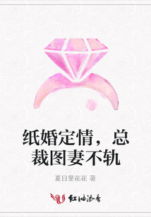 紙婚定情,總裁圖妻不軌