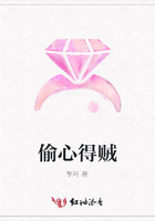 偷心得賊在線閱讀