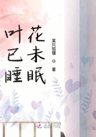 葉已睡花未眠在線閱讀
