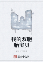 我的雙胞胎寶貝在線閱讀