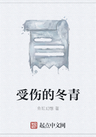 受傷的冬青在線閱讀
