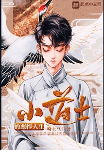 小道士的彪悍人生
