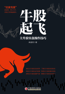 牛股起飛:主升浪實盤操作技巧