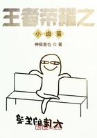 王者荣耀之大陆之事在线阅读