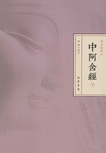 中阿含經(下冊)