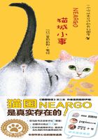 猫城小事