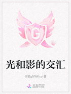 光和影的交汇在线阅读
