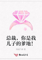 總裁，你是我兒子的爹地！在線閱讀