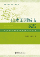 山水田园城市实践：贵安村社微标准质量建设实录在线阅读