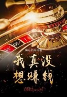 我真沒想賺錢在線閱讀