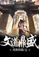 文道鼎盛在线阅读