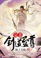 完美劍道至尊在線閱讀