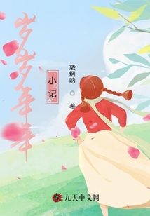 岁岁年年小记